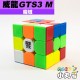 魔域 - 3x3x3 - 威龍GTS3 M