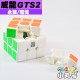 魔域 - 3x3x3 - 威龍GTS2